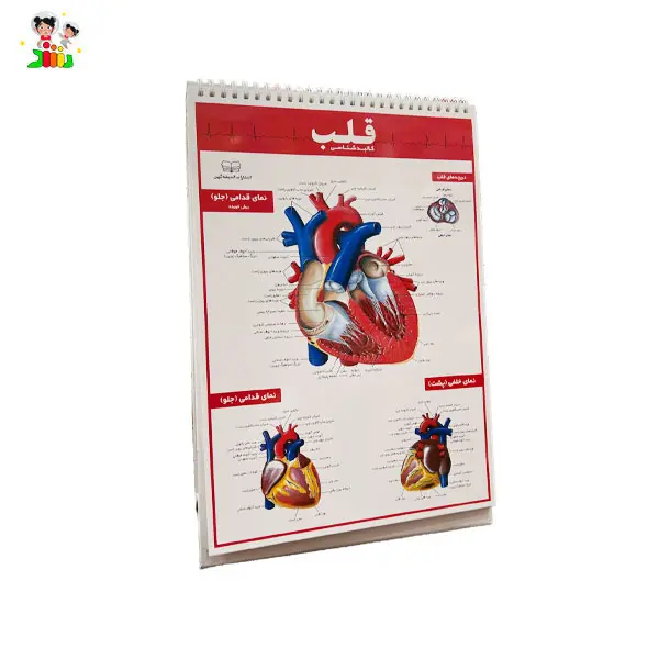 کتاب اطلس کالبد شناسی(آناتومی) بدن انسان | اندیشه کهن